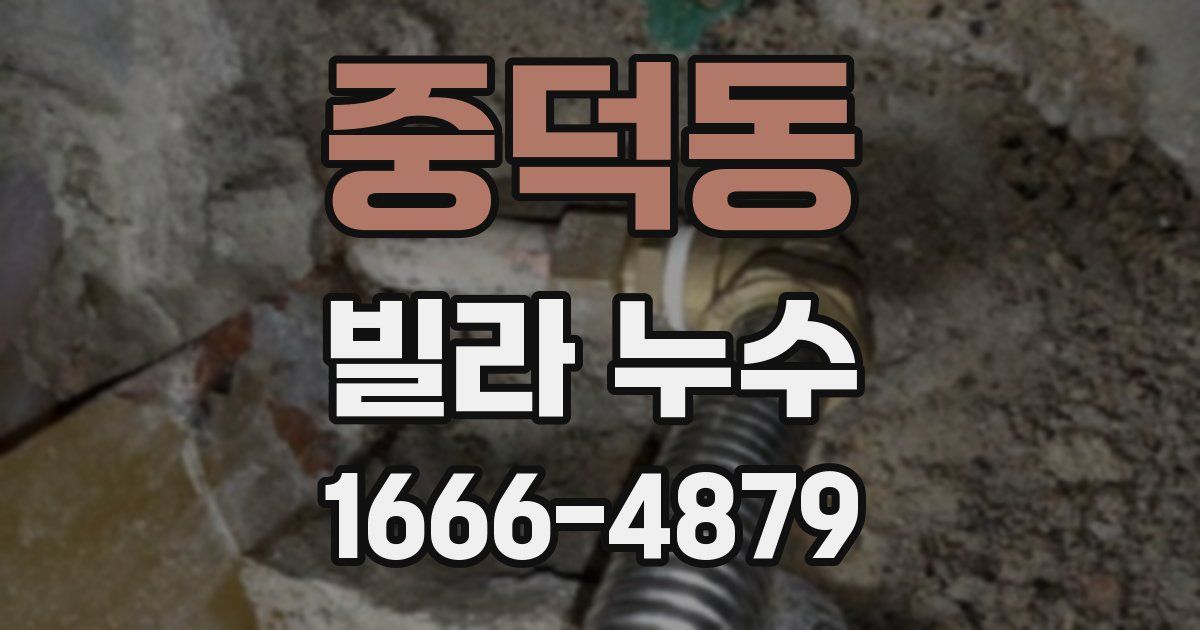 중덕동 빌라 누수