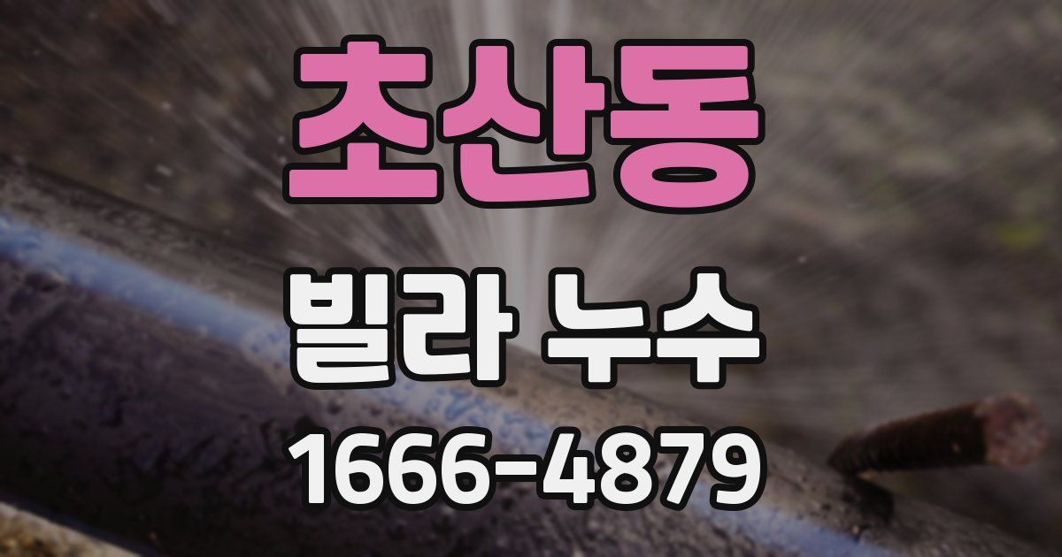 초산동 빌라 누수