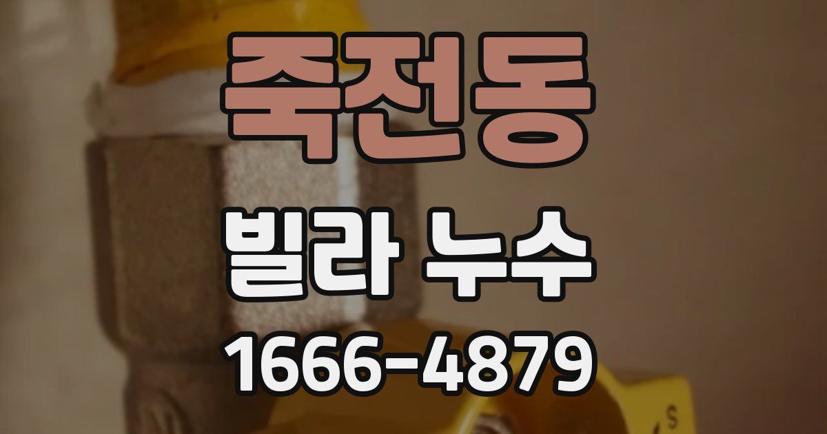 죽전동 빌라 누수