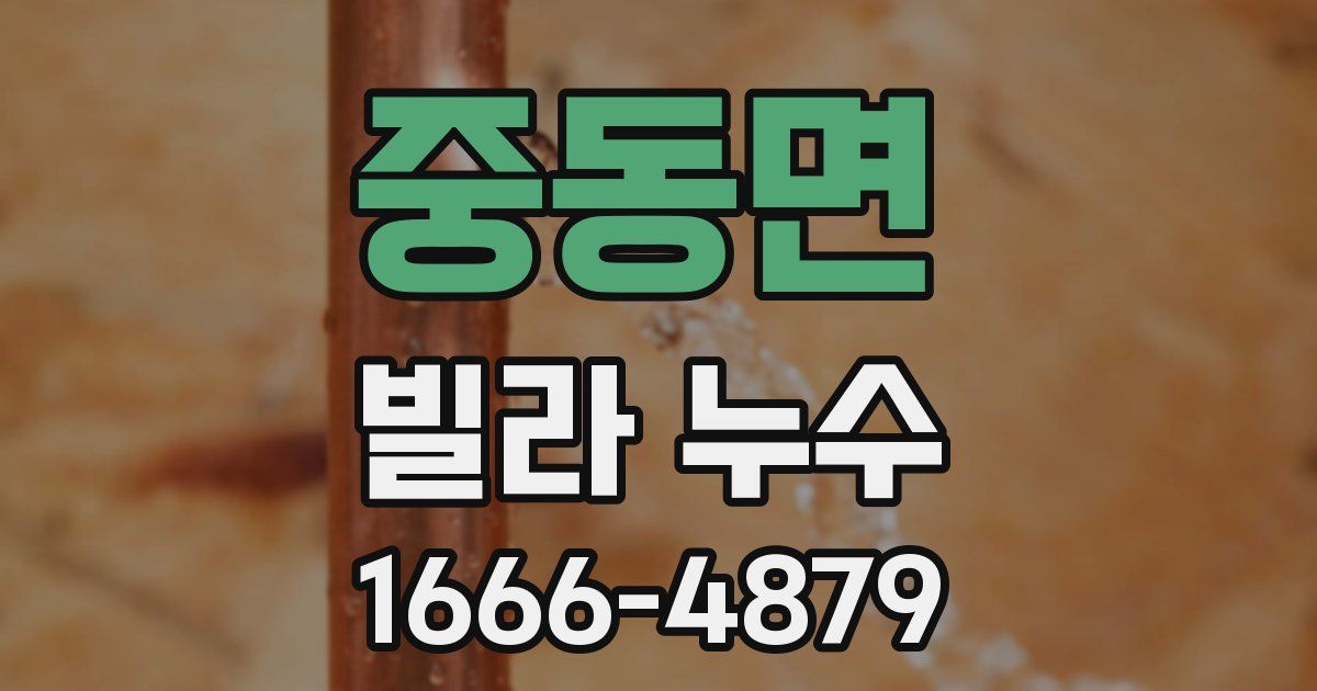 중동면 빌라 누수