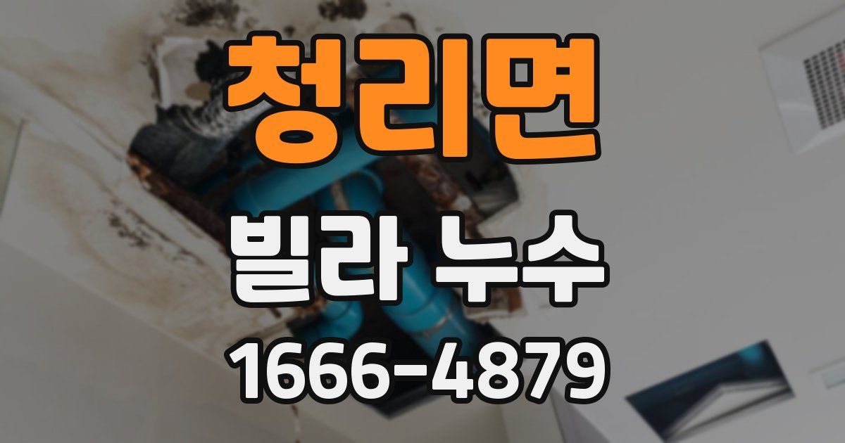 청리면 빌라 누수
