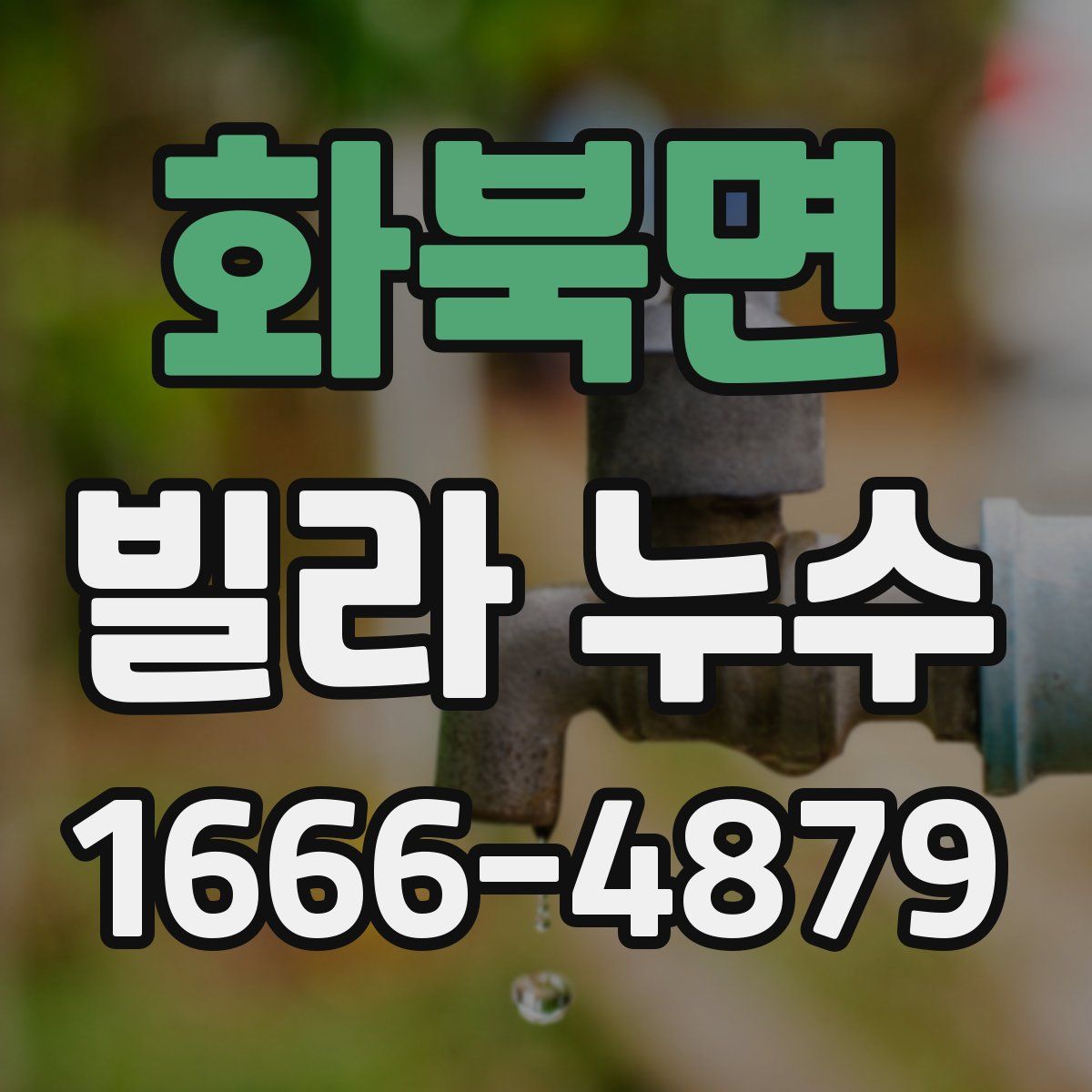 화북면 빌라 누수