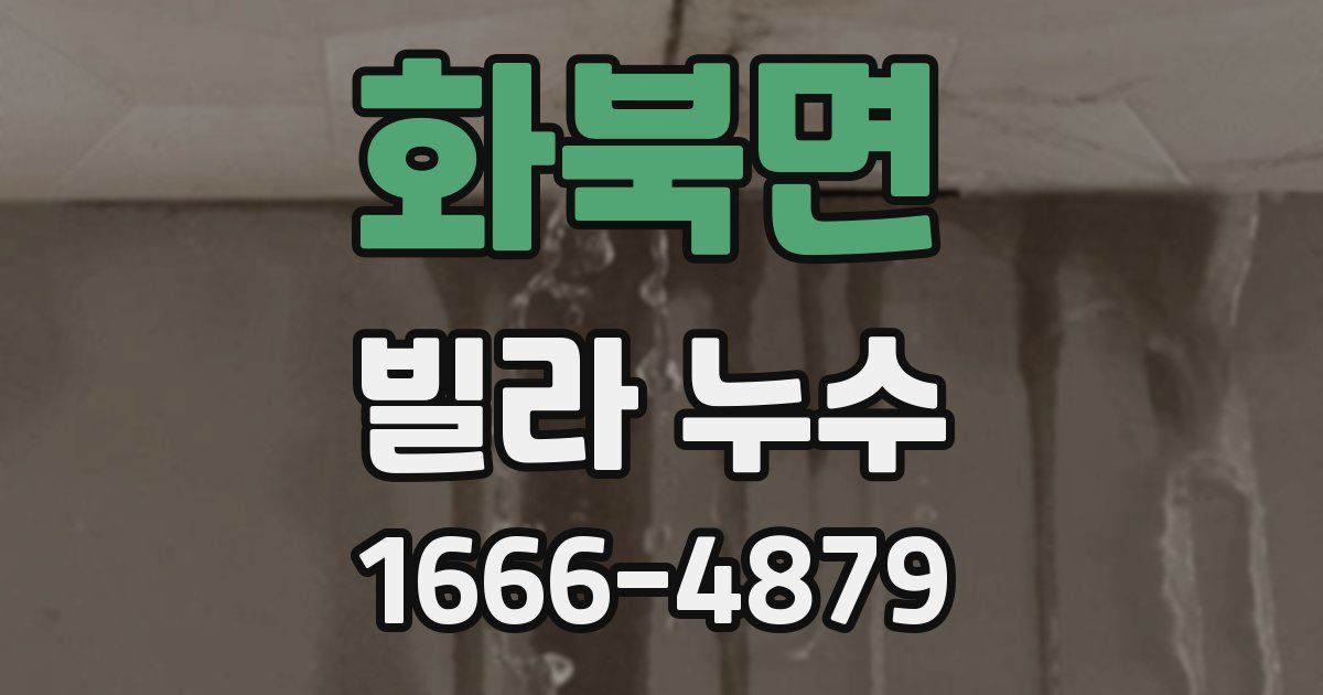 화북면 빌라 누수