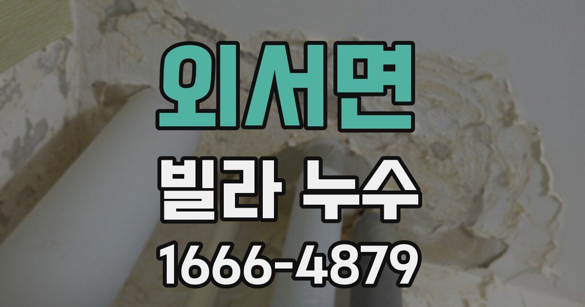 외서면 빌라 누수
