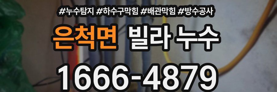 은척면 빌라 누수