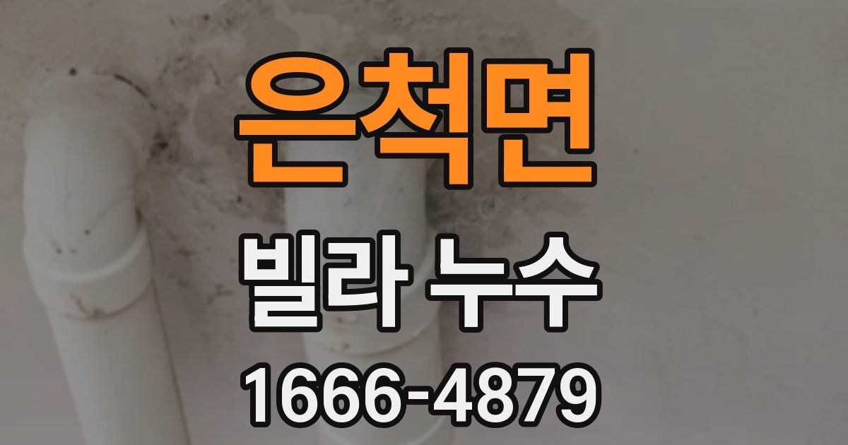 은척면 빌라 누수