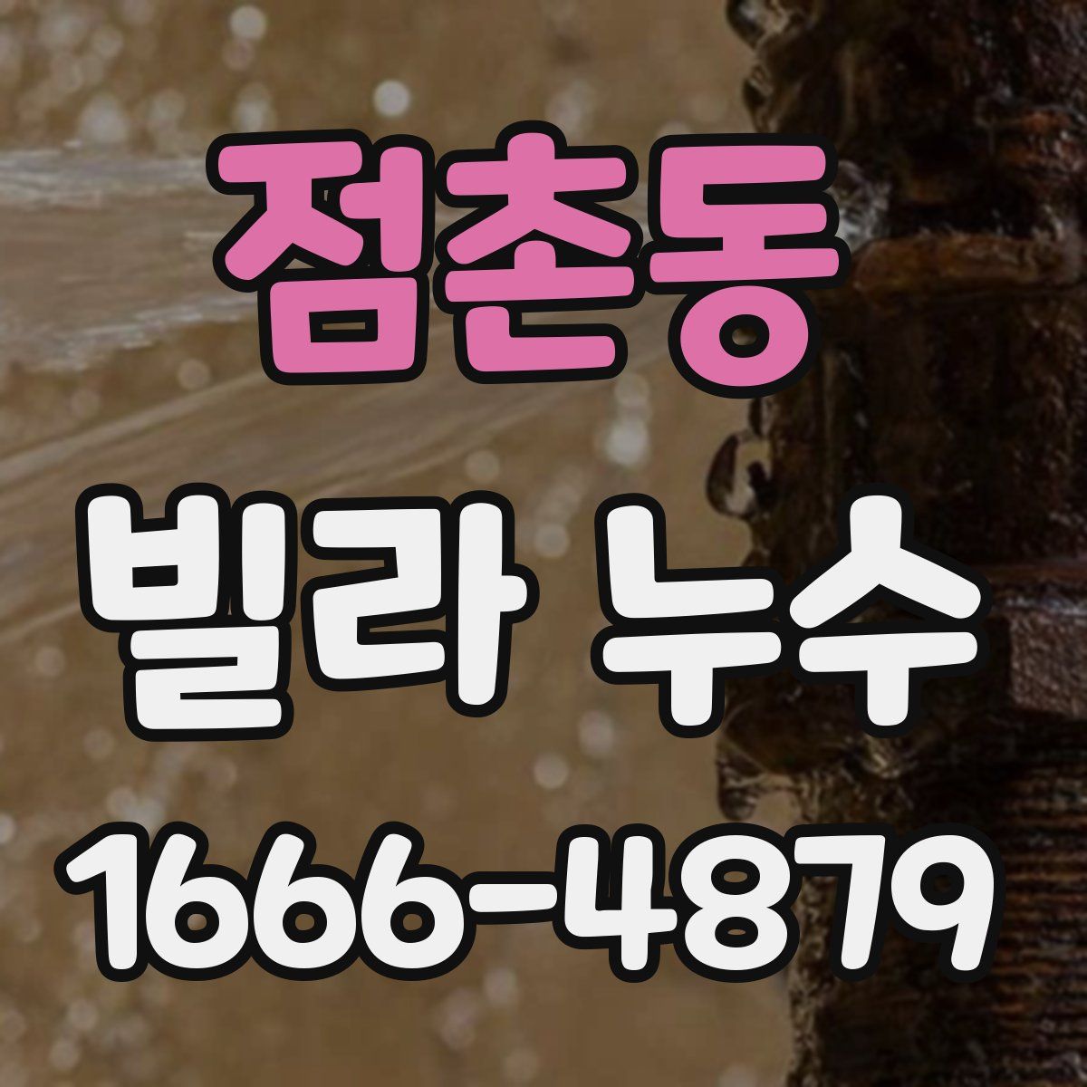 점촌동 빌라 누수