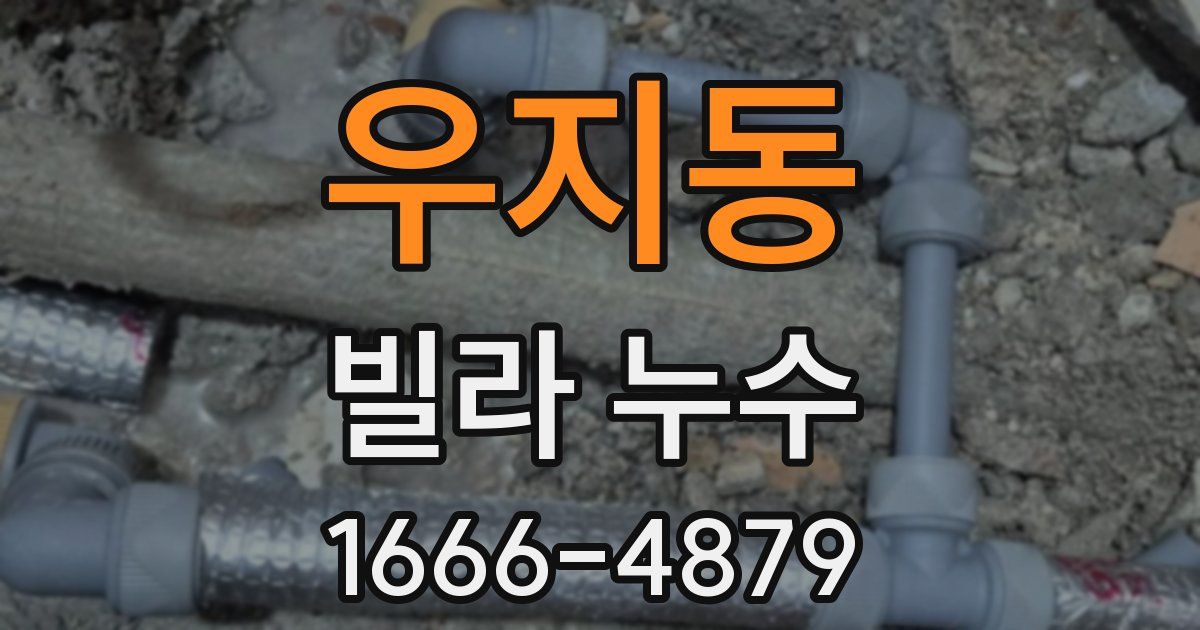 우지동 빌라 누수