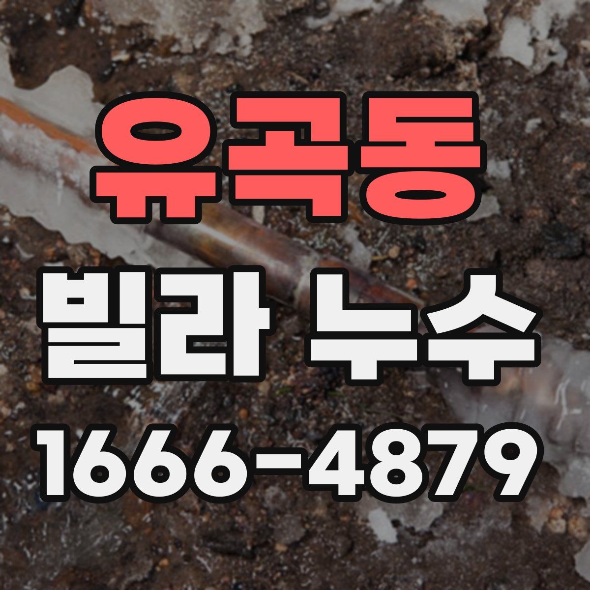유곡동 빌라 누수