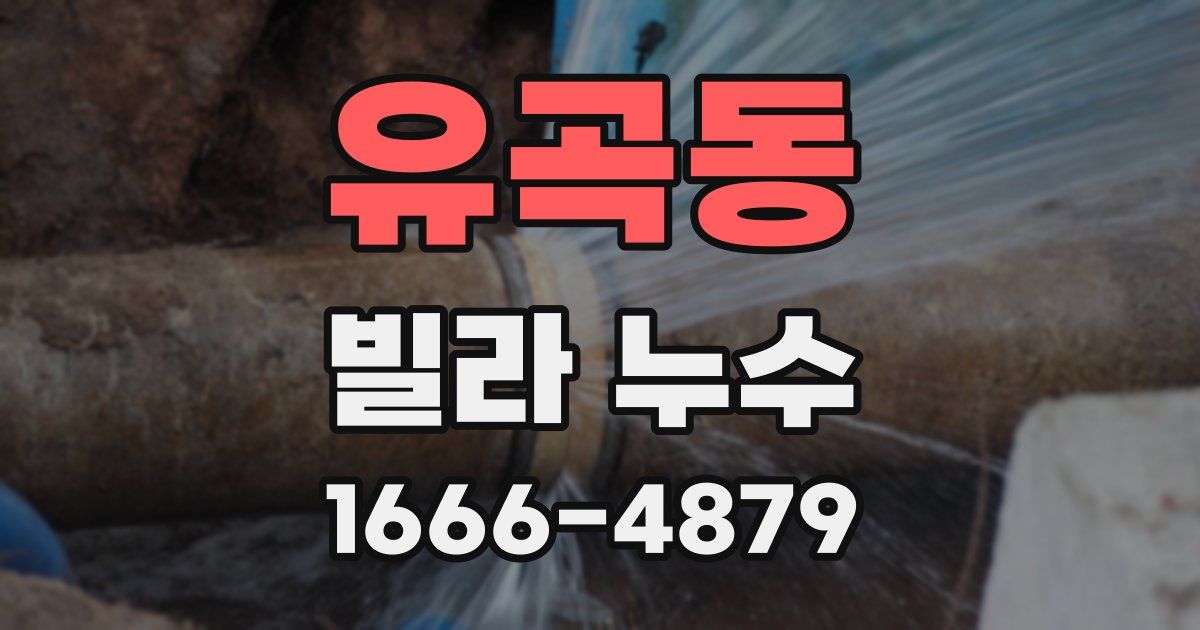 유곡동 빌라 누수