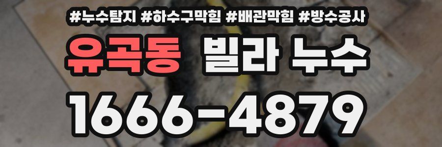유곡동 빌라 누수