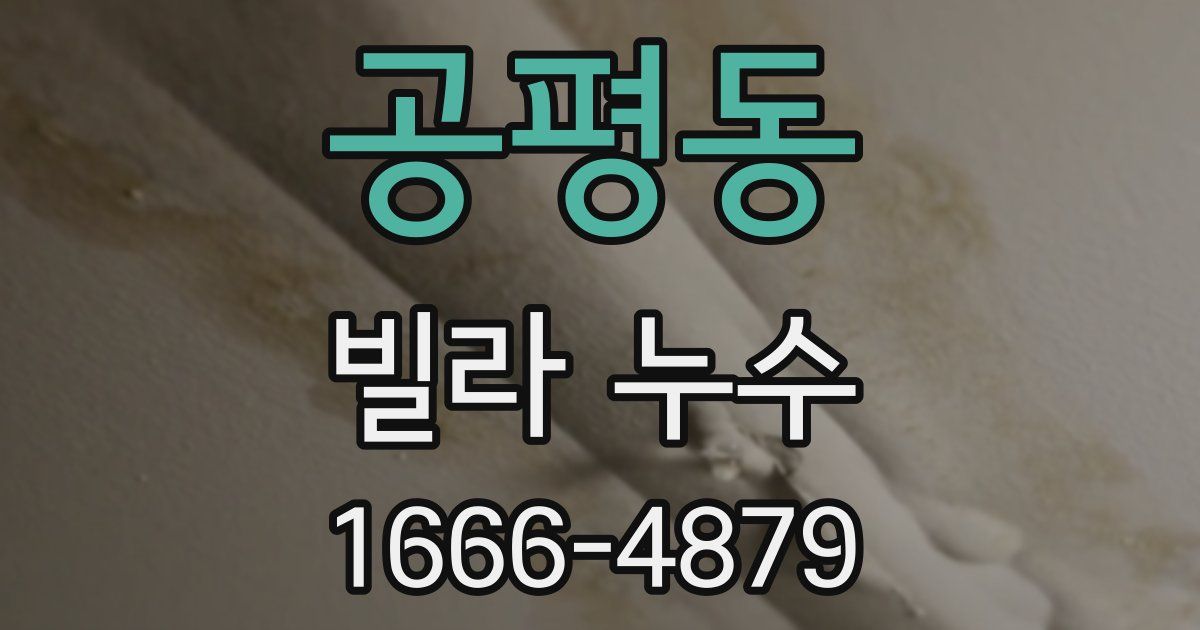 공평동 빌라 누수
