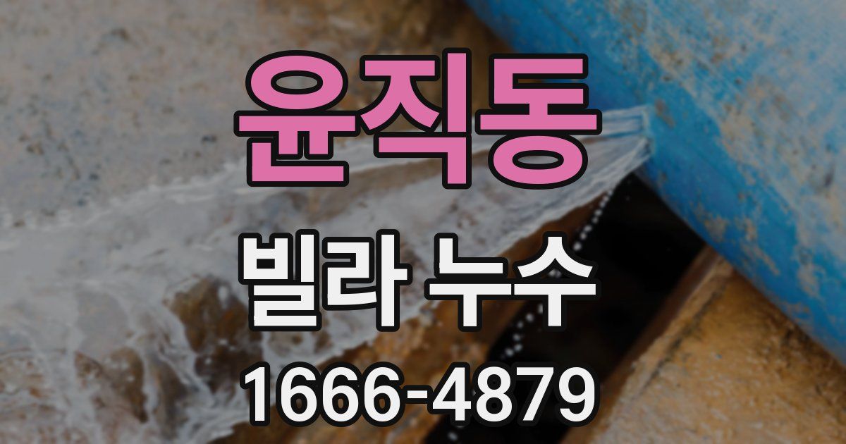 윤직동 빌라 누수