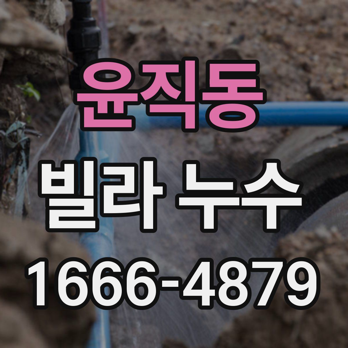 윤직동 빌라 누수