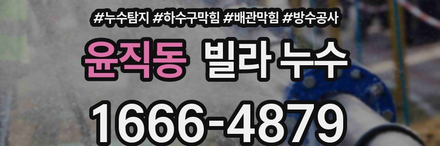 윤직동 빌라 누수