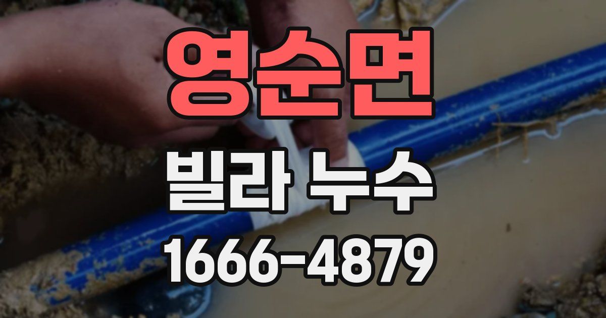 영순면 빌라 누수