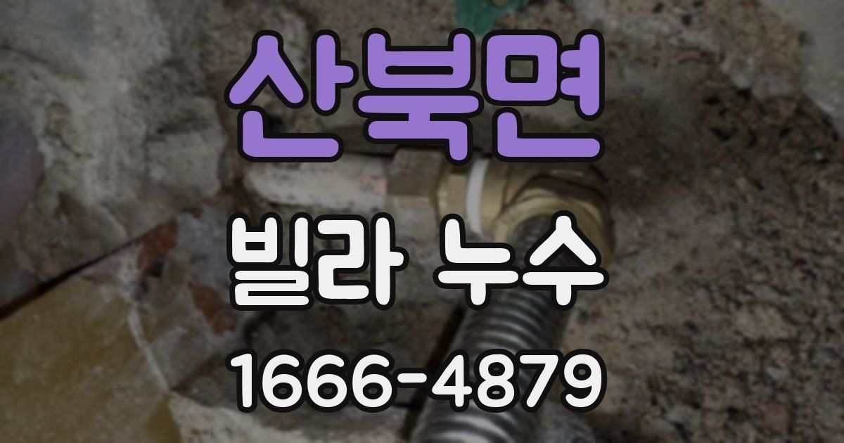 산북면 빌라 누수