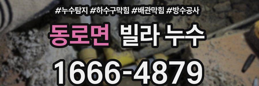 동로면 빌라 누수