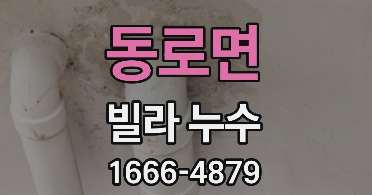 동로면 빌라 누수