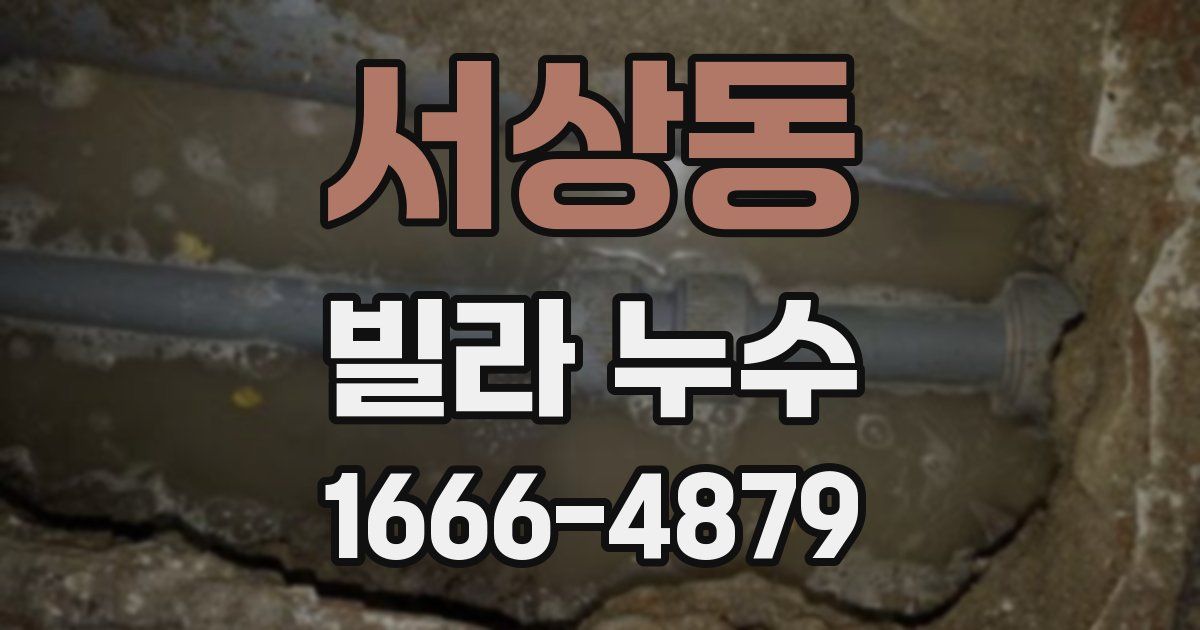 서상동 빌라 누수
