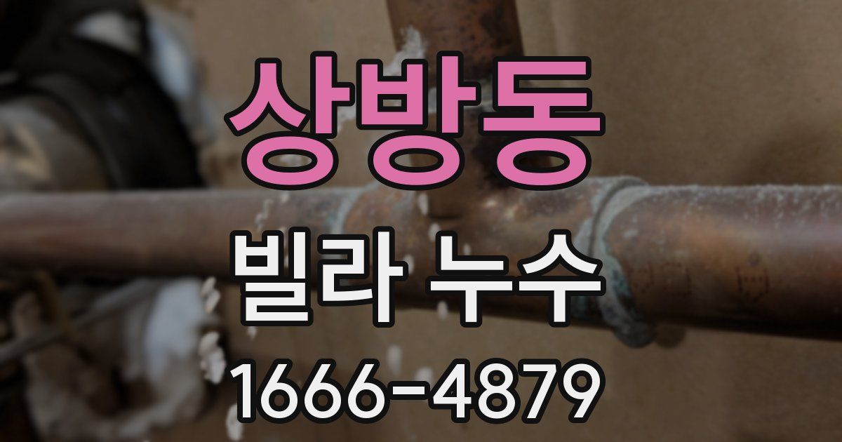 상방동 빌라 누수