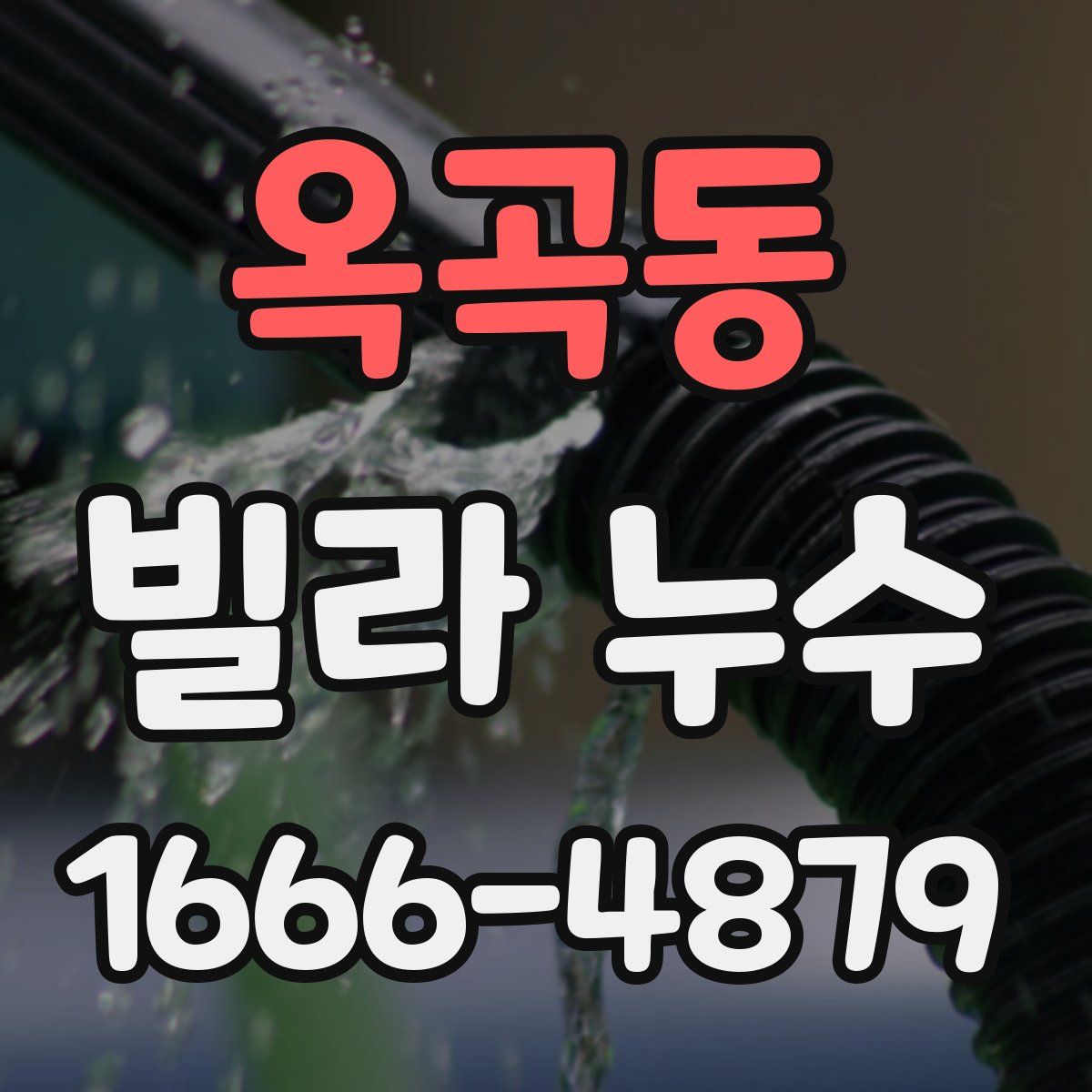옥곡동 빌라 누수