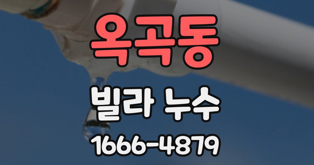 옥곡동 빌라 누수