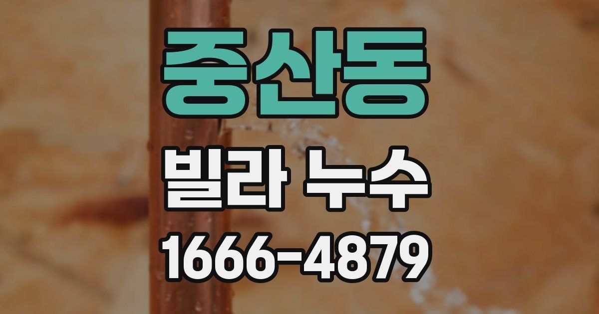 중산동 빌라 누수