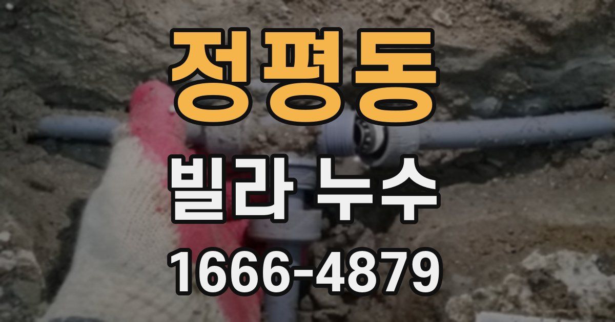 정평동 빌라 누수