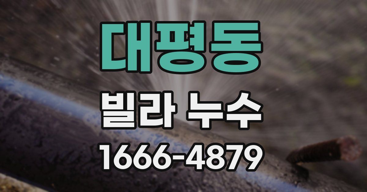 대평동 빌라 누수