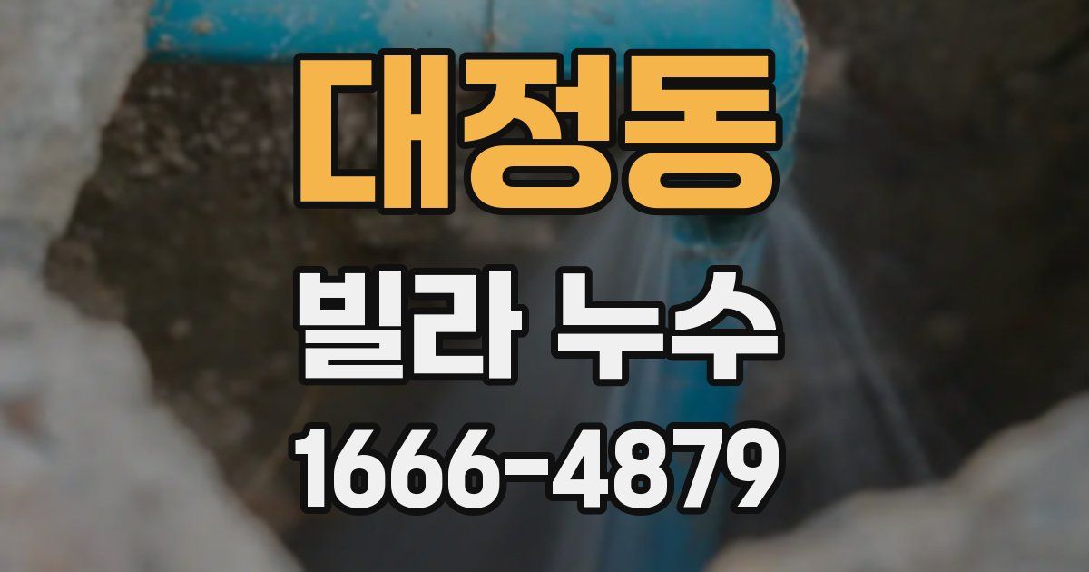대정동 빌라 누수