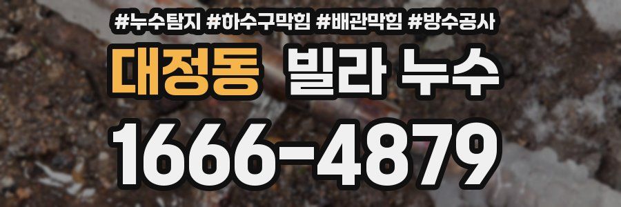 대정동 빌라 누수