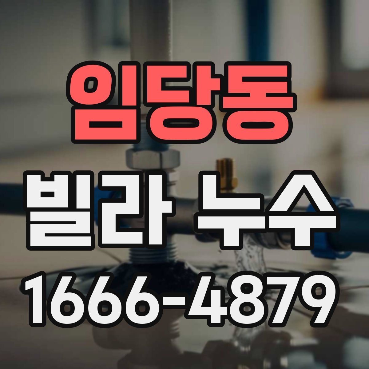 임당동 빌라 누수