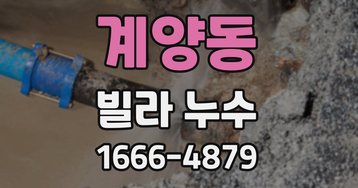 계양동 빌라 누수