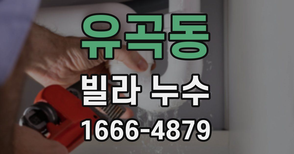 유곡동 빌라 누수