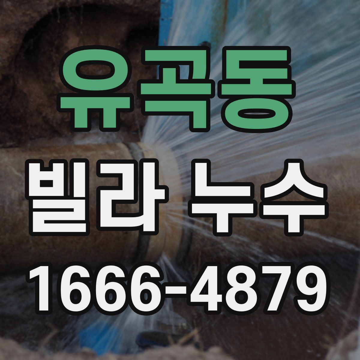 유곡동 빌라 누수