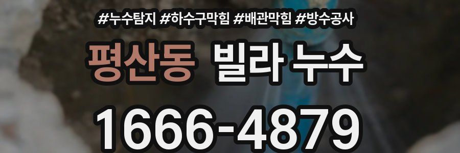 평산동 빌라 누수