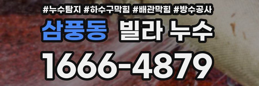 삼풍동 빌라 누수
