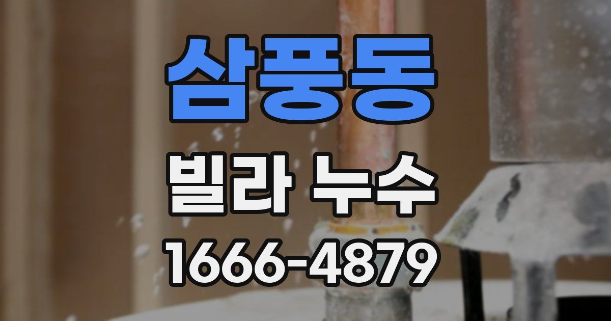 삼풍동 빌라 누수