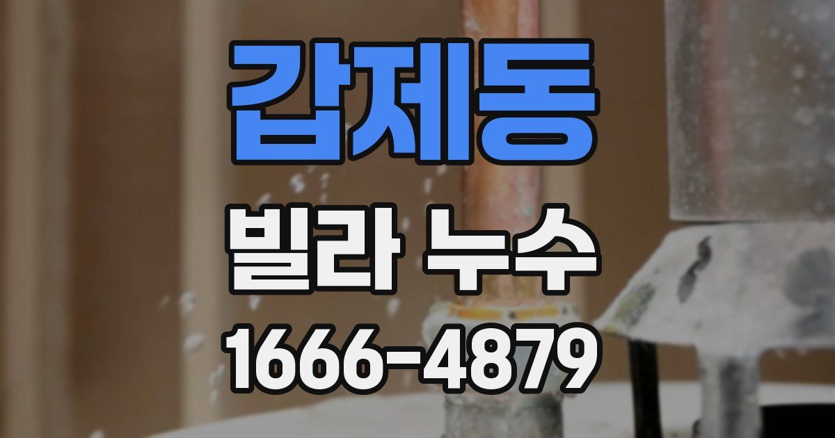 갑제동 빌라 누수