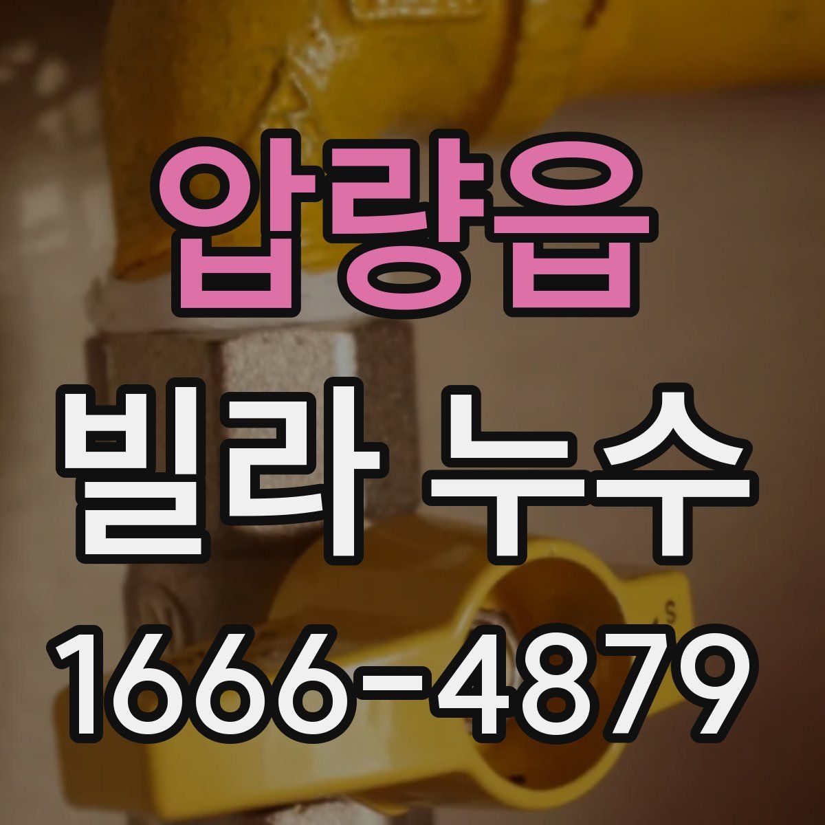 압량읍 빌라 누수