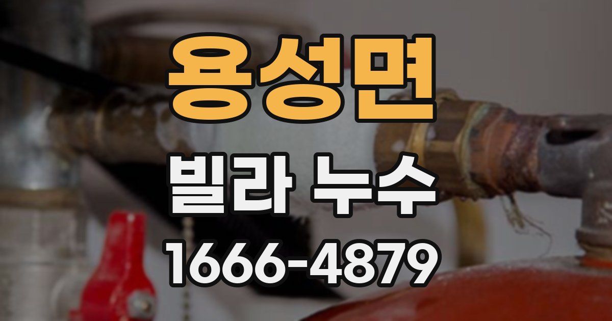 용성면 빌라 누수