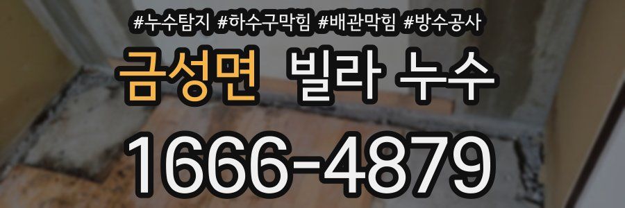 금성면 빌라 누수