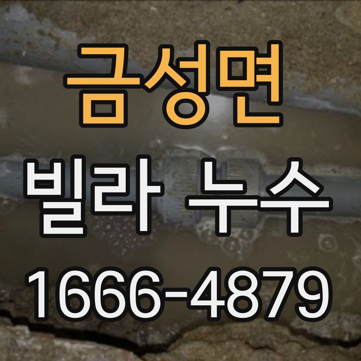 금성면 빌라 누수