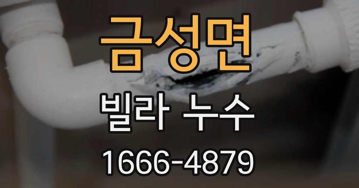 금성면 빌라 누수
