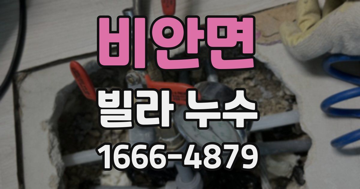 비안면 빌라 누수