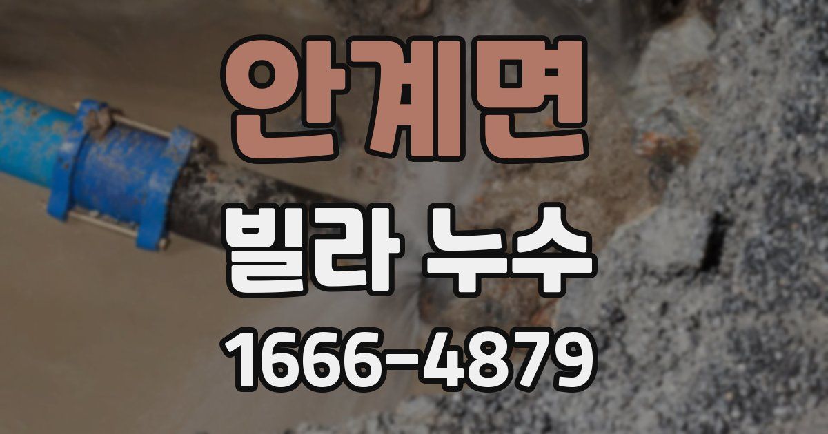 안계면 빌라 누수