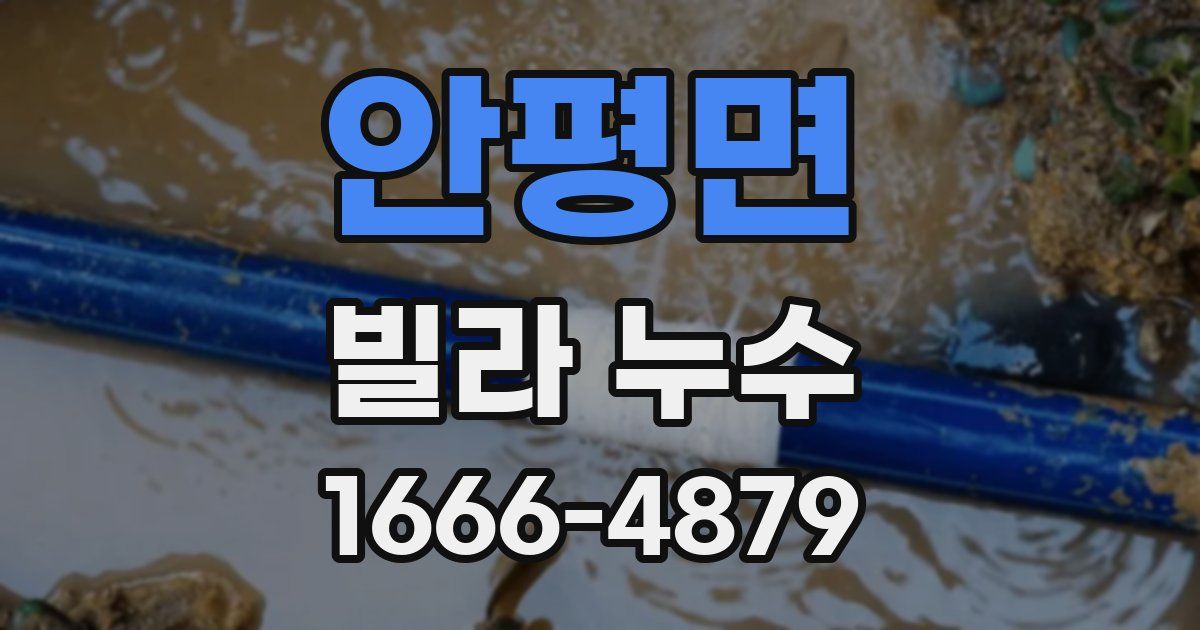 안평면 빌라 누수