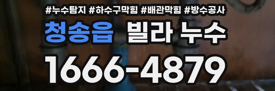 청송읍 빌라 누수