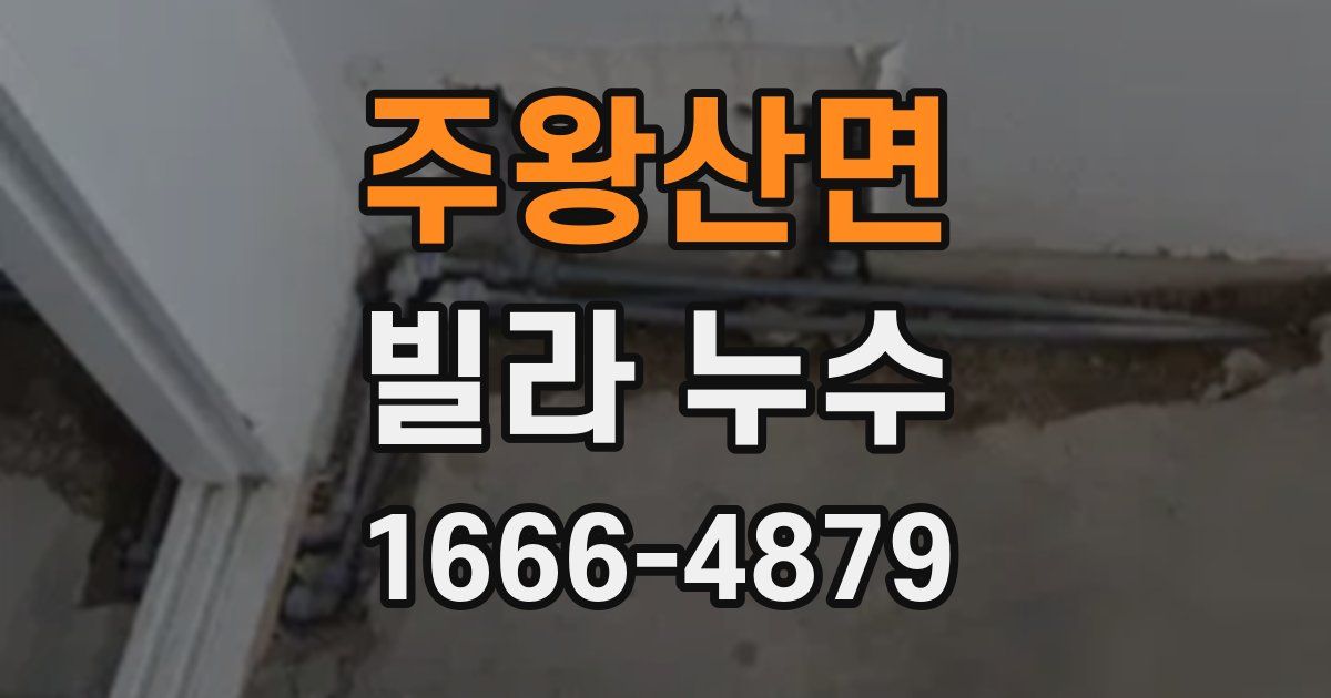 주왕산면 빌라 누수